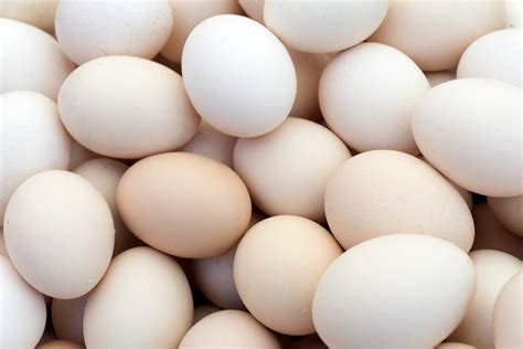 controversy  eggs villages newscom