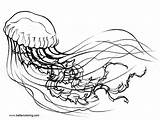 Jellyfish Coloring Book Printable Adults Kids sketch template