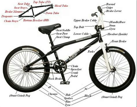 bike parts  chart