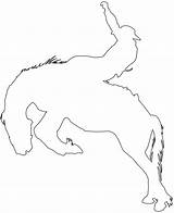 Bronco Bucking Silhouettes Outline Silhouette Svg Vector Coloring Pages Drawing sketch template