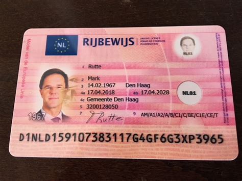 rijbewijs  nederland halen justdoitwithdiy