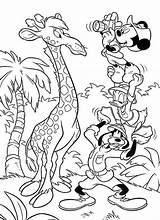Giraffe Coloringsky sketch template