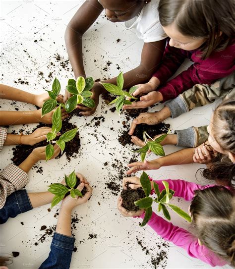 kids planting tree featuring plant leisure activity  holding