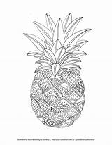 Coloring Pages Pineapple Fruit Mandala Adult Printable Zentangle sketch template