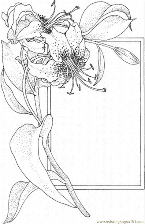 lily coloring pages to download and print for free