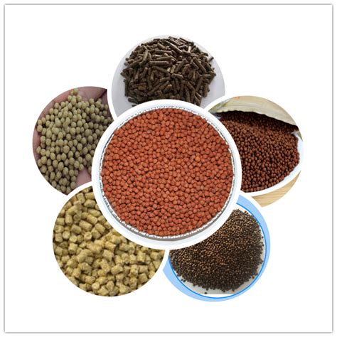 qualified fish feed extruders  feed production   expert manufacturer   fish