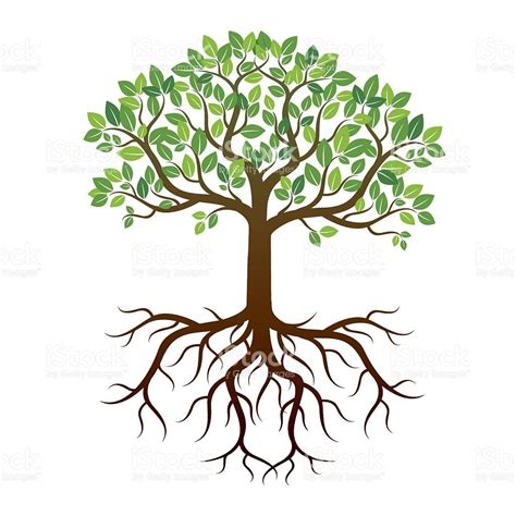 tree coloring pages  roots moveless