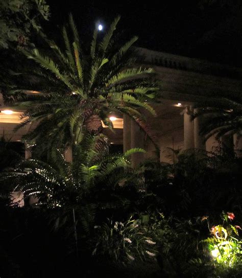 fairy yardmother landscape design  garden  night lighting