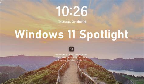 windows  users  windows spotlight  latest build