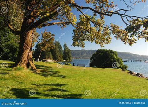 lakeside park stock photo image  outdoor lawn island