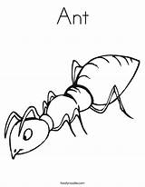Ant Coloring Pages Kids Ants Printable Colouring Drawing Color Insect Line Cliparts Animal Am Red Clipart Preschool Alphabet Twistynoodle Twisty sketch template