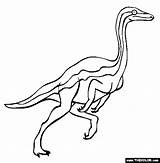 Ornithomimus Coloring Dinosaur Pages Thecolor sketch template