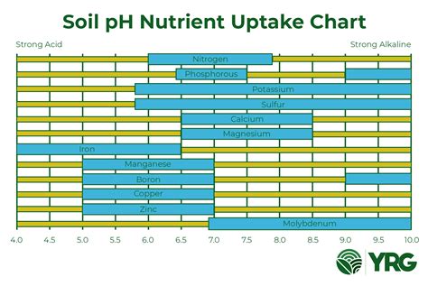 vegetable soil ph scale chart