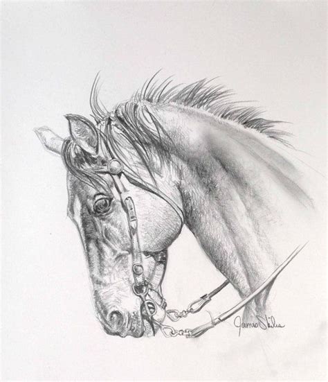 horse drawing images  pinterest equine art horse art