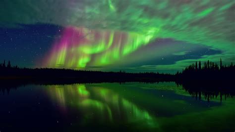 aurora borealis  wonderful light   north poles sky