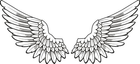 white wings png hd image png  png