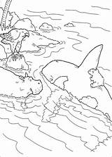 Ijsbeer Coloriage Colorir Orca Plume Desenhos Lars Kleurplaten Ursinho Osito Zwemt Coloriez Avontuur Coloriages sketch template