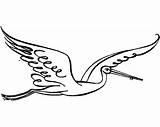 Stork Storch Cigogne Cegonha Coloriage Fliegender Voando Bocian Ausmalbild Gleitflug Ausmalbilder Anmutiger Cliparts Supercoloring Druku Malvorlagen Biały Locie Coloringbay Tudodesenhos sketch template