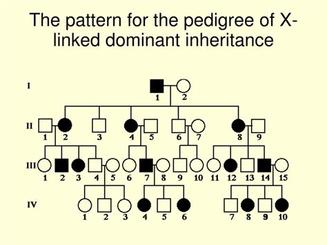 Ppt Sex Linked Inheritance Powerpoint Presentation Free 7920 Hot Sex