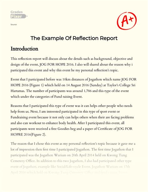 reflection report essay   words gradesfixer