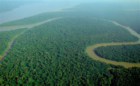 fileaerial view   amazon rainforestjpg