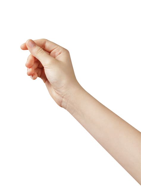 hand holding  png png image collection