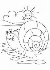 Snail Coloring Books Pages Printable sketch template