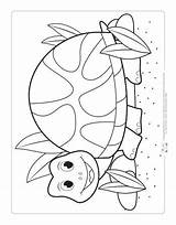 Coloring Pets Pages Kids Turtle Colouring Color Fun Itsybitsyfun Preschool Printable Sheets While Children They Just Will Choose Board sketch template