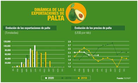 Un Buen Año Para Las Exportaciones De Palta – Freshfruit