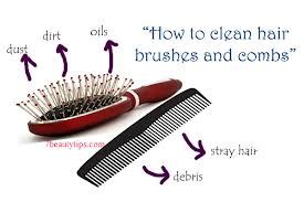 clean combs  head lice dvorak befave