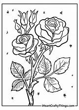 Flower Coloring Pages Beautiful sketch template