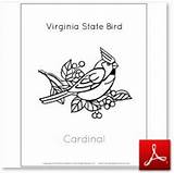 Virginia State Bird Cardinal Geography Printables Completed Hope Last Look Board sketch template
