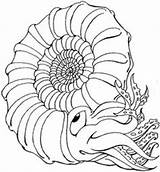 Coloring Fossil Pages Fossils Sheets Collection Ammonite Activity Getcolorings Worksheets Printable Getdrawings sketch template