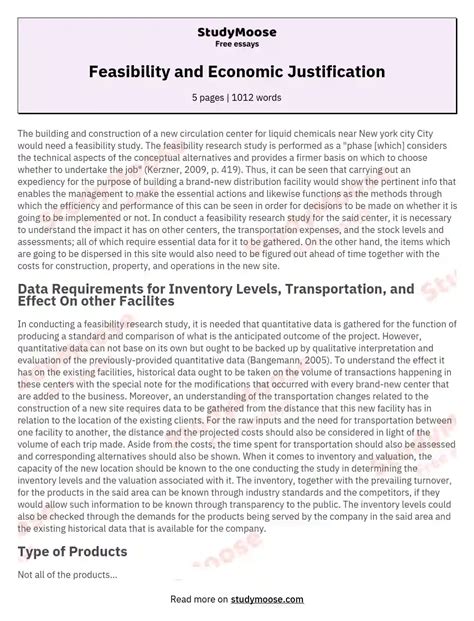 feasibility  economic justification  essay