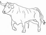Bullfighter sketch template