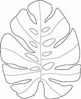 Leaf Monstera Coloring Hawaiian Doodling Russo sketch template