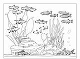 Fish Akwarium Kolorowanki Dzieci Bestcoloringpagesforkids Acuario Fishes Coloringhome sketch template