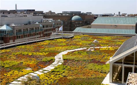 green roofs    benefits  rooftop gardens  space