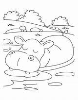 Hippo Coloring Pages Hippopotamus Kids Relaxing Printable Clipart Mood Getcolorings Baby Print Color Getdrawings Library Popular Sketch sketch template