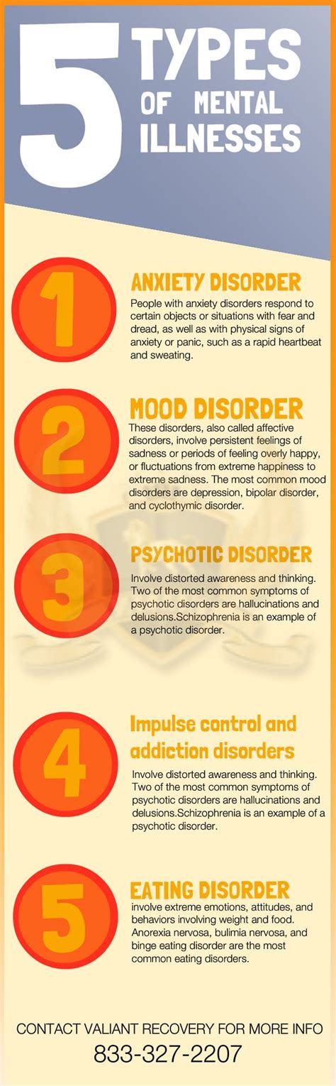 5 Types Of Mental Illnesses Valiant Recovery 1 877 958