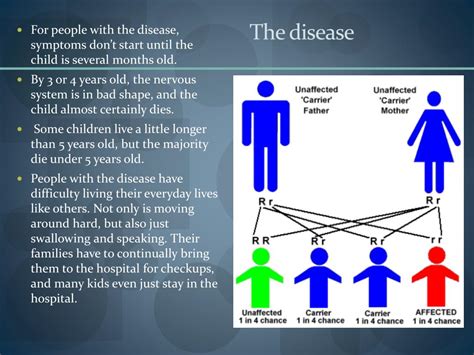 Tay Sachs Disease As Related To Brain And Nervous System Pictures