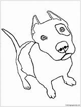 Coloring Pages Pitbull Pit Bull Puppy Printable Color Kids sketch template