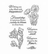 Joann Clear Stamps sketch template