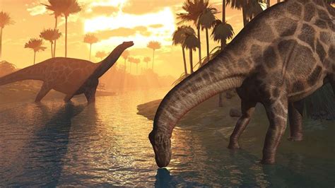 4 things you got wrong about dinosaurs seeker