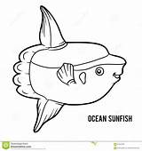 Sunfish Ocean Coloring Book Preview sketch template