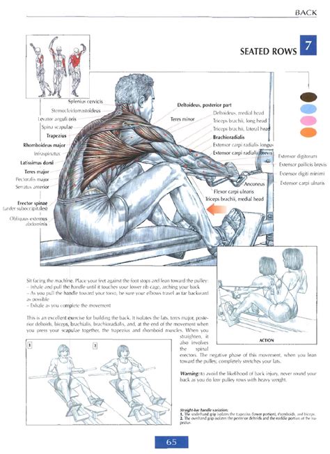 men bodies    bodybuilding  pinterest