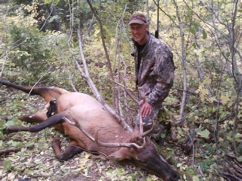 idaho diy elk hunt cosmic dick and the black hole elk in for the hunt page 2