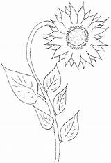 Sonnenblume Ausmalen Blumen sketch template