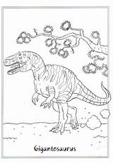Colorare Dinosauri Gigantosaurus sketch template
