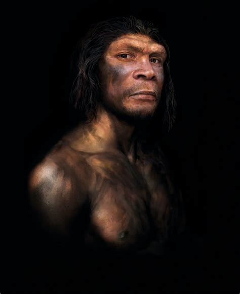 Neanderthals Died Out 40 000 Years Ago But There Has Never Been More